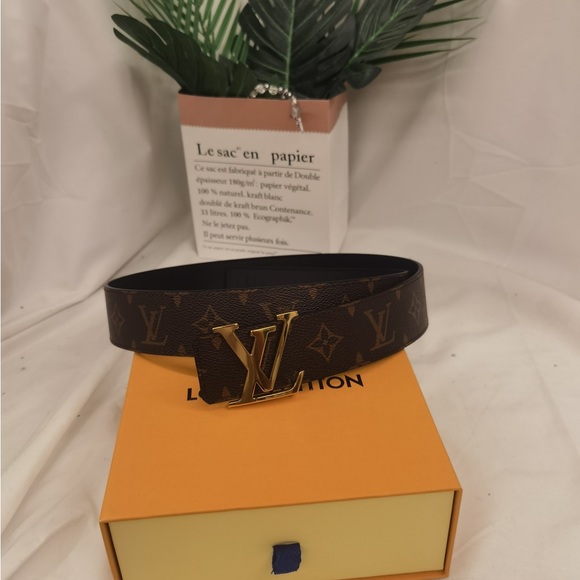 Louis Vuitton Dark Brown Belt with Gold LV Buckle - Picture 1 of 5
